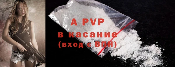 ECSTASY Бронницы